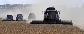 Уборка урожая пшеницы в Красноярском крае