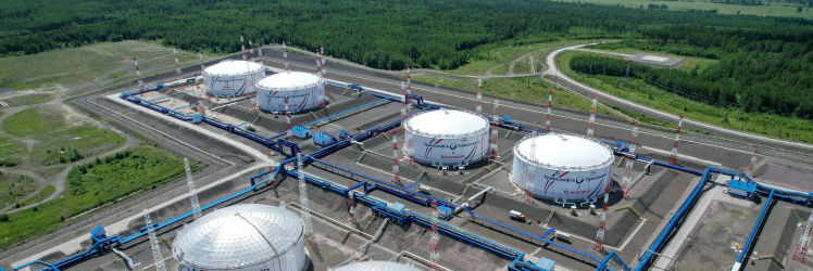 Нефтеперекачивающая станция "Сковородино" (НПС-21)
