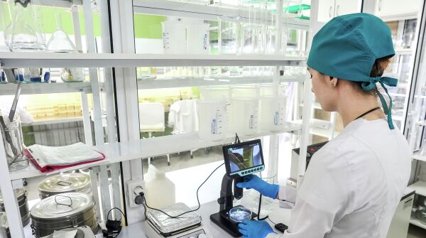 Лаборатория по выращиванию посадочного материала для бананов в Тамбовской области