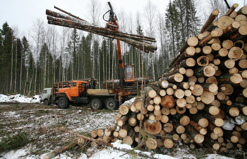 Заготовка леса в Архангельской области